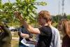 Students working outdoors for 可持续性 class